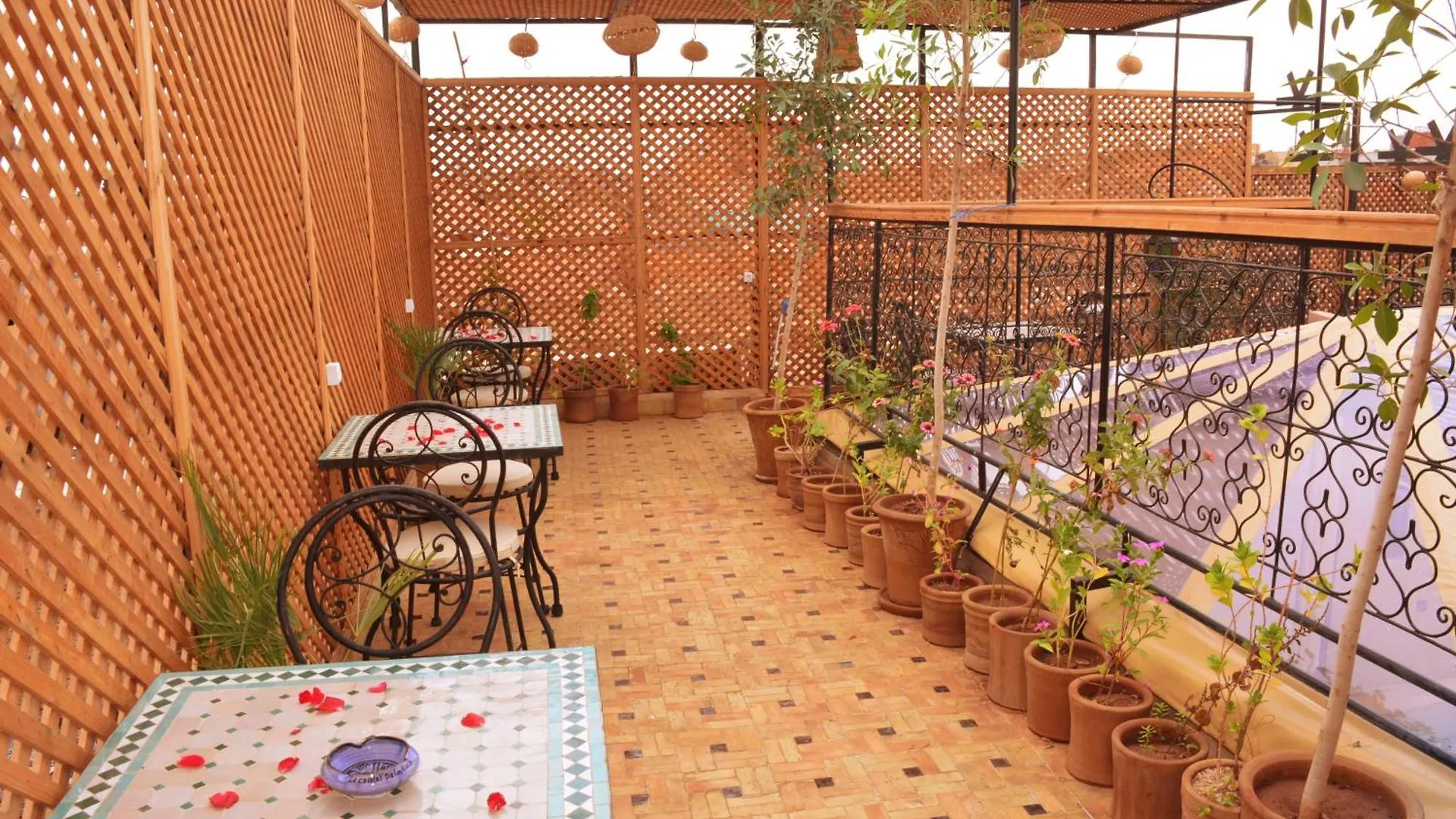 Riad Marrakesh Peace Morocco